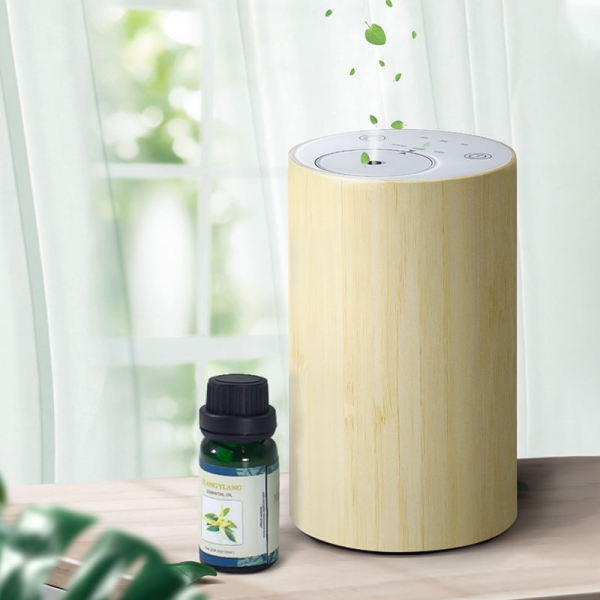 Smart Home Scent Car Aromatherapy Waterless Diffuser